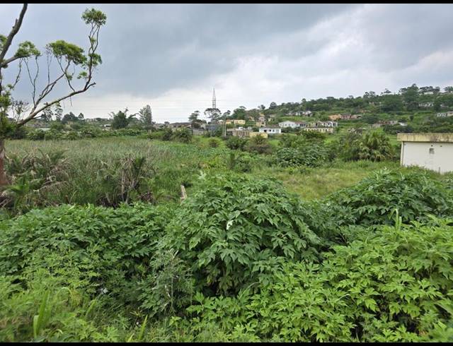 LAND FOR SALE IN ROSENEATH